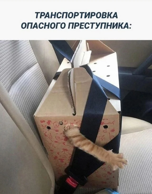 Реально прикольные картинки