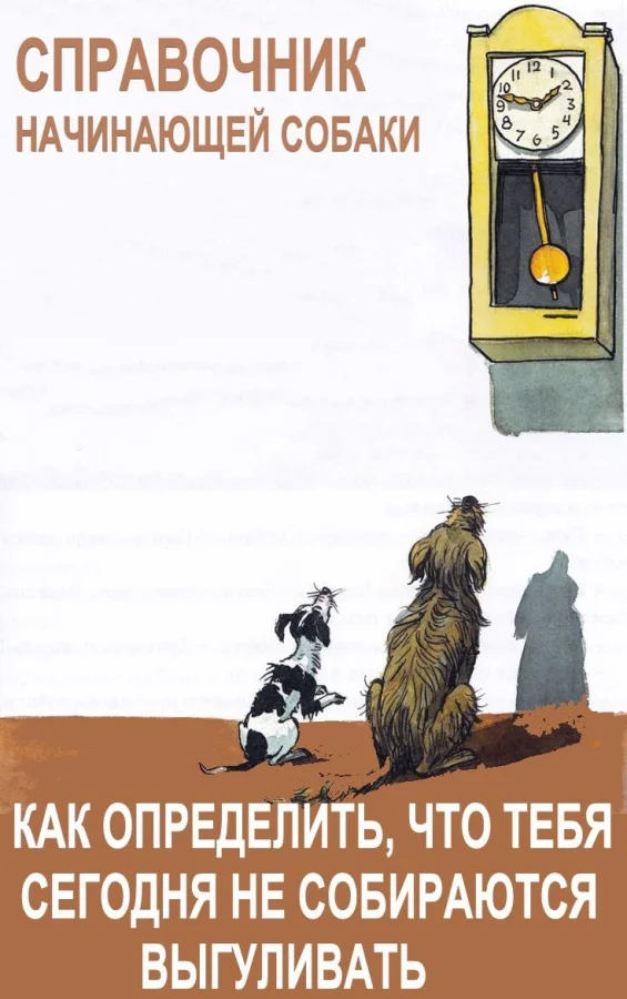 Библиотека сумасшедшего профессора 3