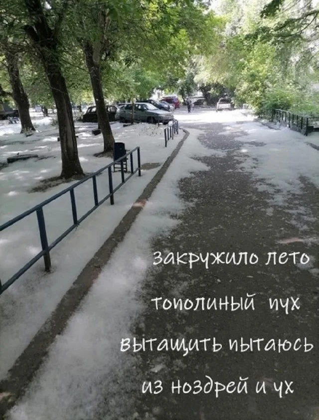 Смешнявки дня