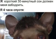 Деграднем? Да!