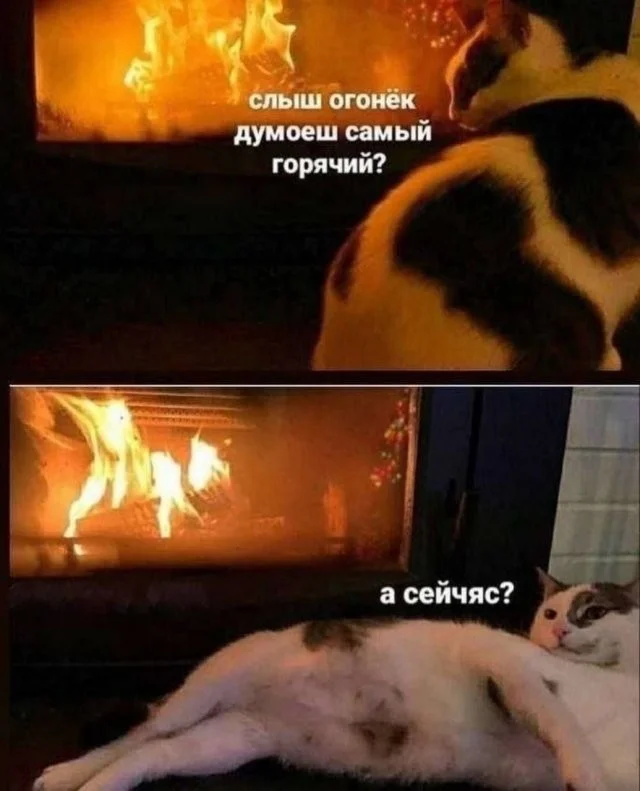 Смешные скрины из соцсетей #68