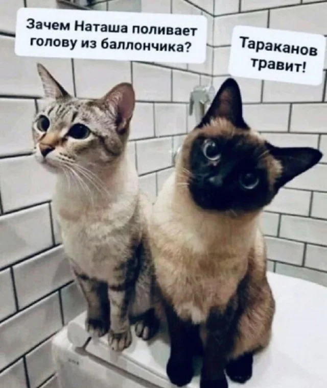 Ещё классных приколов