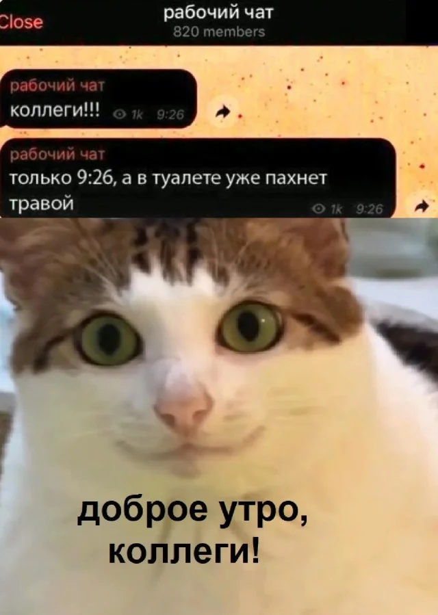 Смешнявки дня