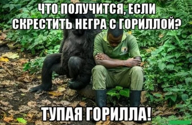 Хорошенько деградируем