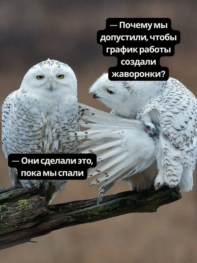 Ещё классных приколов