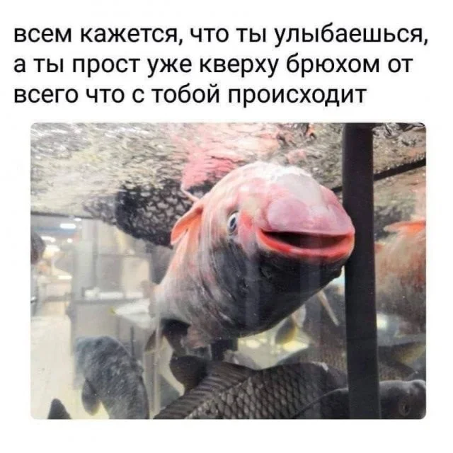 Смешные скрины из соцсетей #67