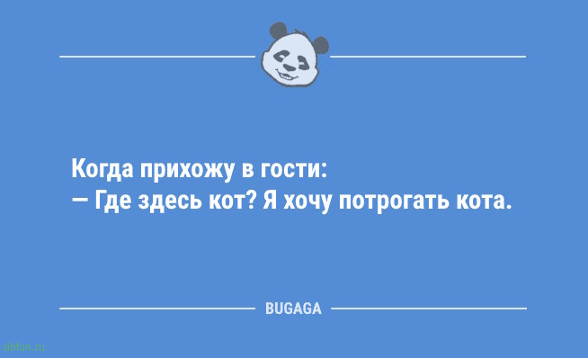 Анекдоты для хорошего настроения: «Если детские шампуни не щиплют глазки…» 