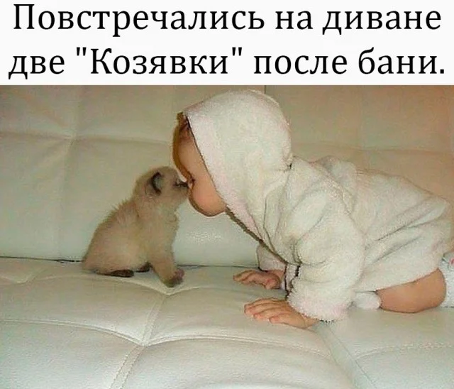 Смешнявки дня