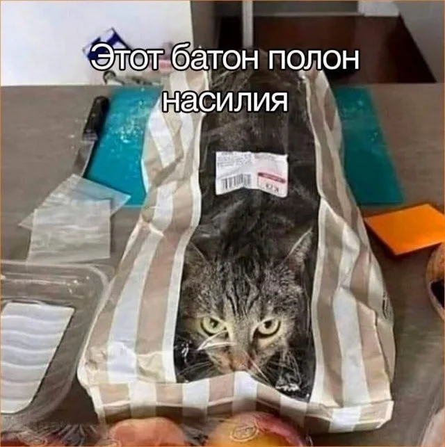 Смешные скрины из соцсетей #67