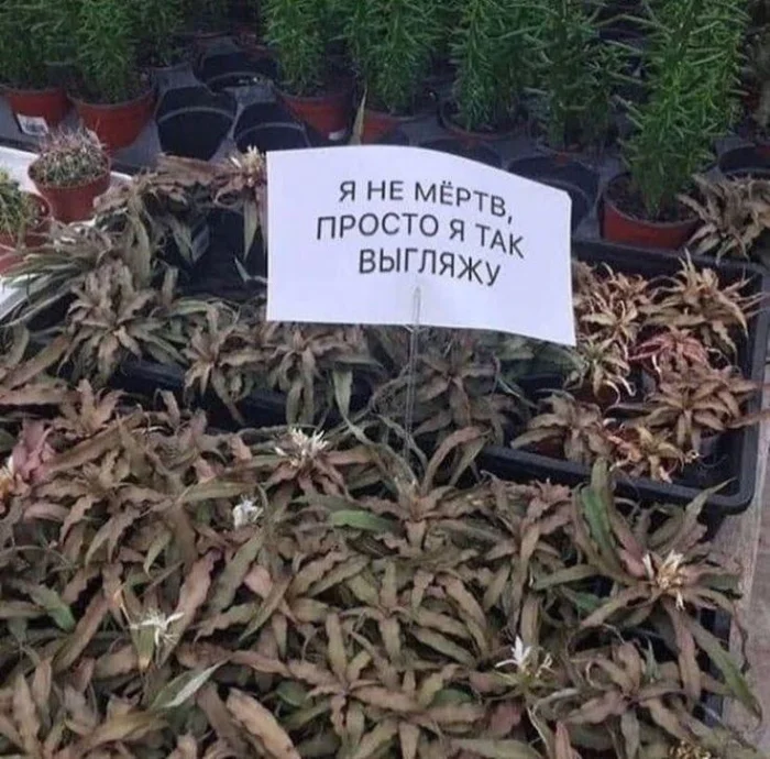 Нестандартный юмор #404 Нестандартный юмор #404