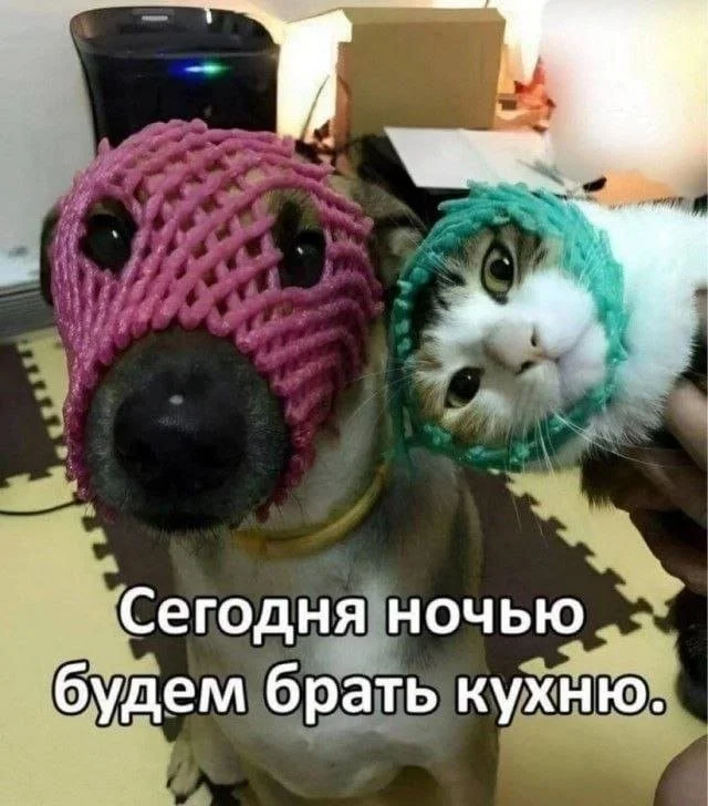 Смешные скрины из соцсетей #71 Смешные скрины из соцсетей #71