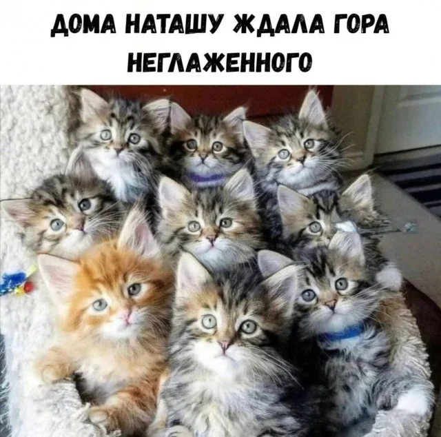 Кайфовые приколы!