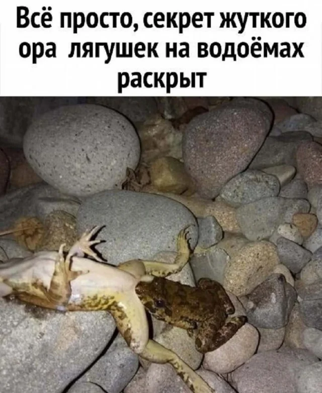 Кайфовые приколы!