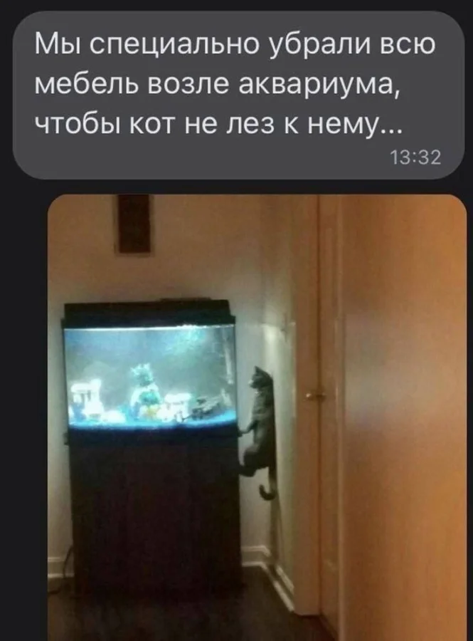 Нестандартный юмор #406 Нестандартный юмор #406