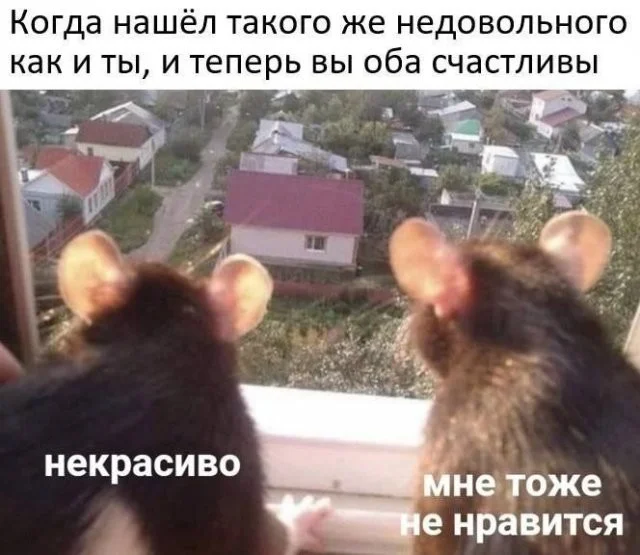 Смешные скрины из соцсетей #66