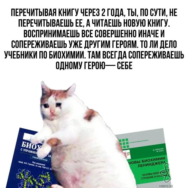 Смешные скрины из соцсетей #67