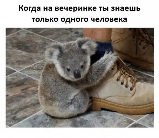 Смешные скрины из соцсетей #89 Смешные скрины из соцсетей #89