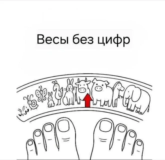 Нестандартный юмор #459 Нестандартный юмор #459