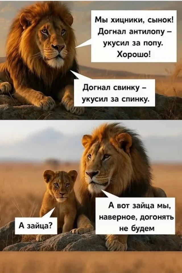 Деградейшен!