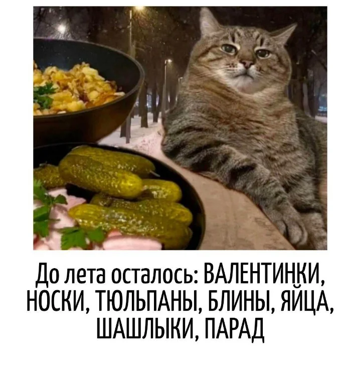 Игра слов #103 Игра слов #103