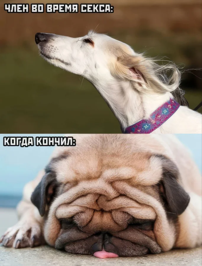 Нестандартный юмор #448