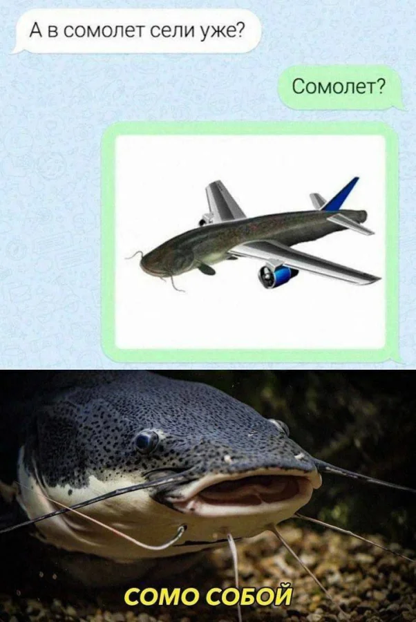 Нестандартный юмор #459 Нестандартный юмор #459