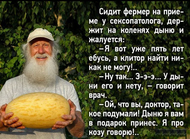 Баянистые приколы