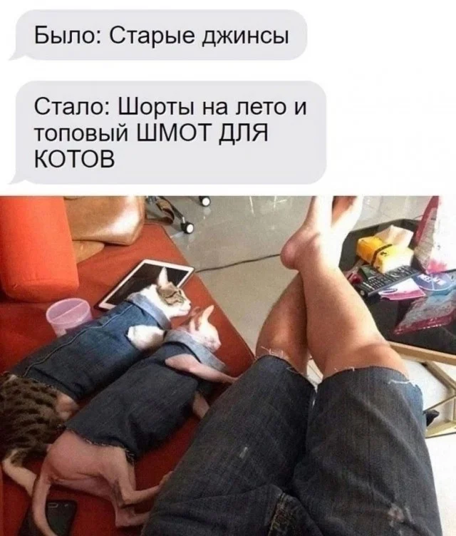 Ха-ха! Прикольные картинки!