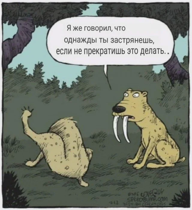 Отличные приколы #1