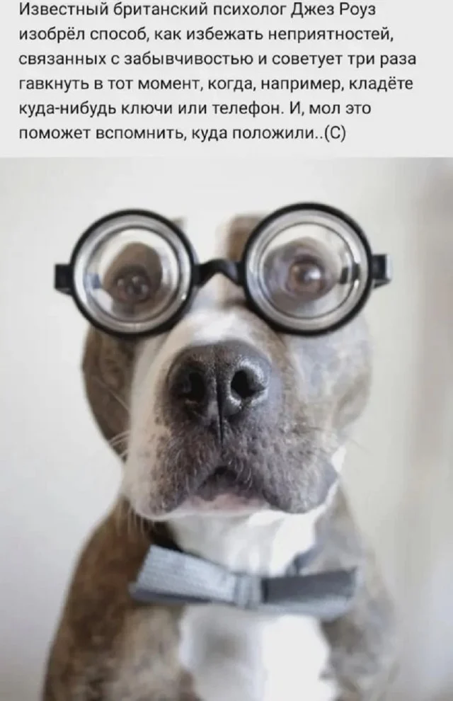 Классные приколы!