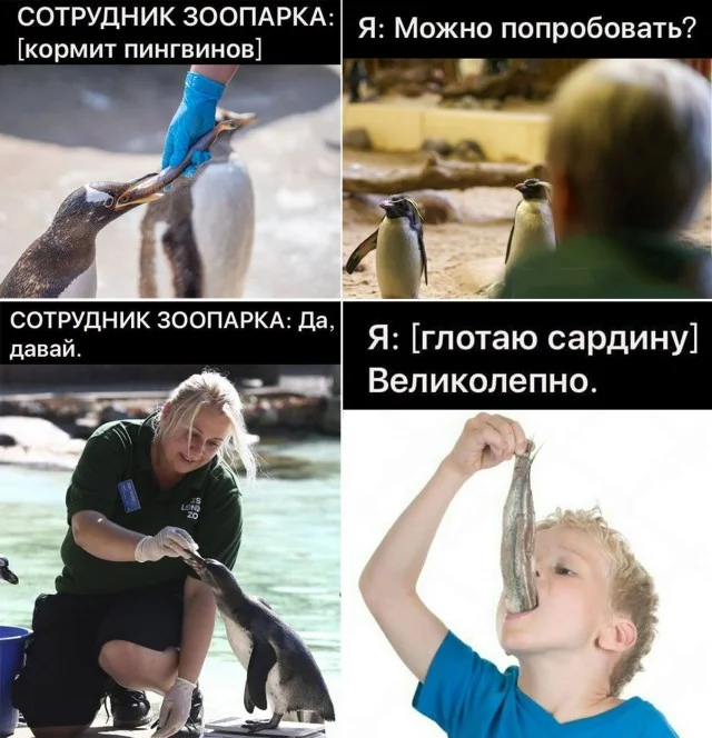 Ещё немного картинок