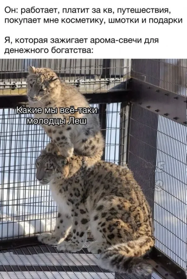 Смешные скрины из соцсетей #98