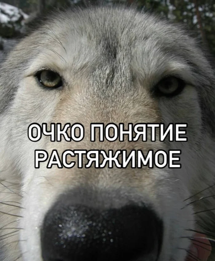 Нестандартный юмор #452 Нестандартный юмор #452