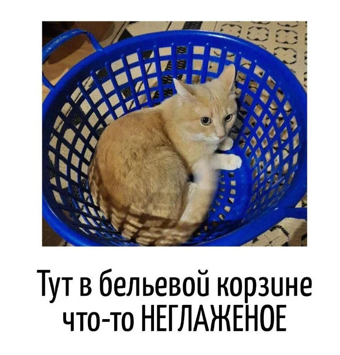 Игра слов – каламбуры, словесный юмор и прикольные картинки #109 Игра слов – каламбуры, словесный юмор и прикольные картинки #109