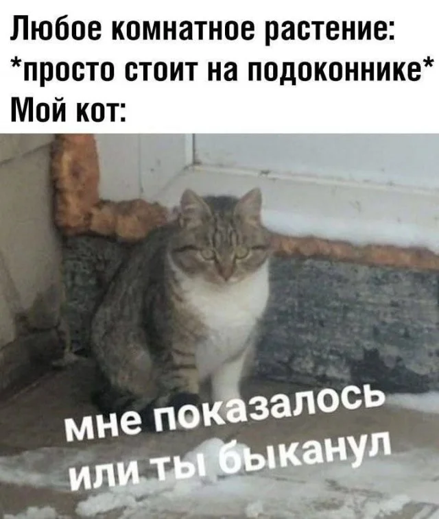 Смешные скрины из соцсетей #99 Смешные скрины из соцсетей #99