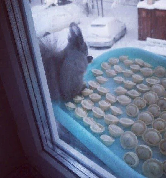 Смешные скрины из соцсетей #88