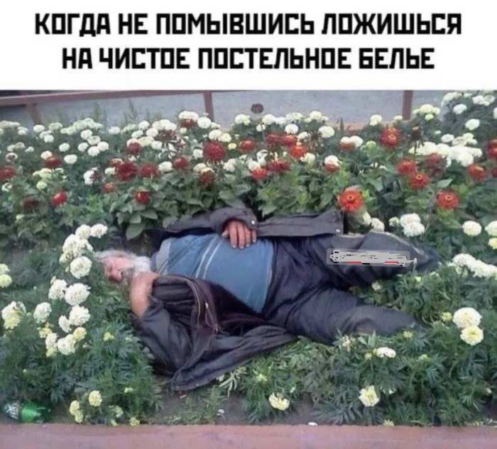 Нестандартный юмор #441