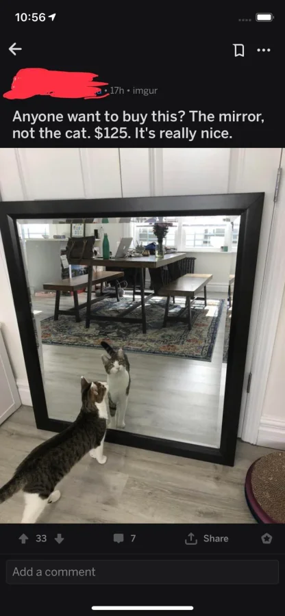 Люди продают зеркала