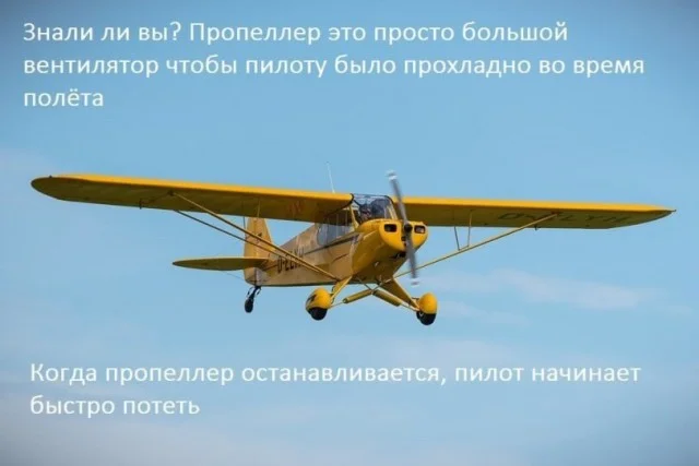 Вау! Свежие картинки!