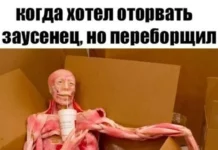 Деградейшен!