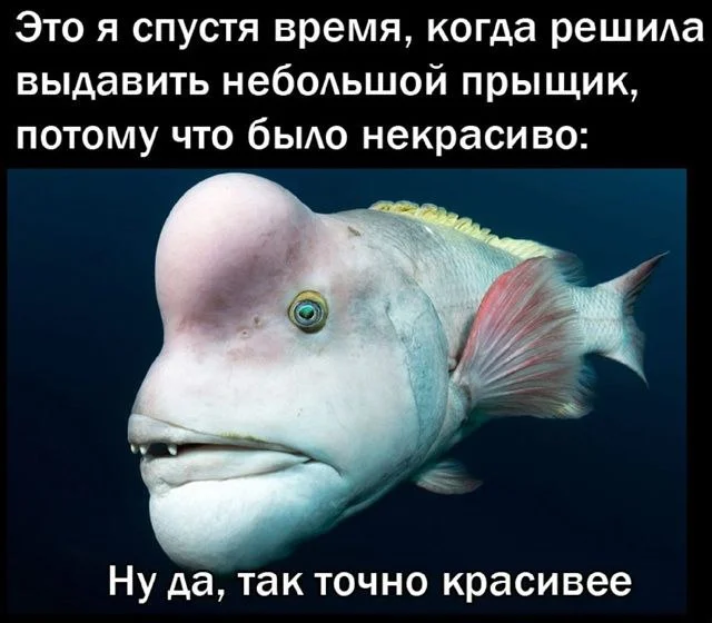 Нестандартный юмор #452 Нестандартный юмор #452