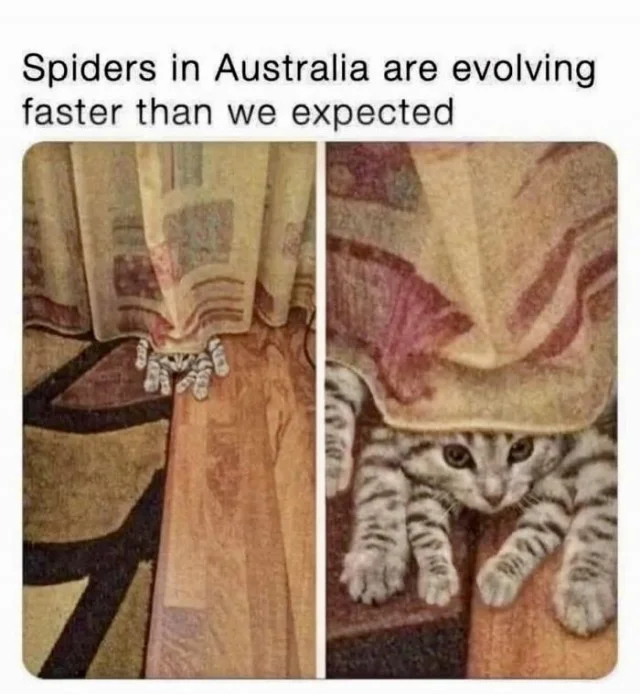 Деграднем? Конечно!