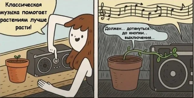 Вот и картинки