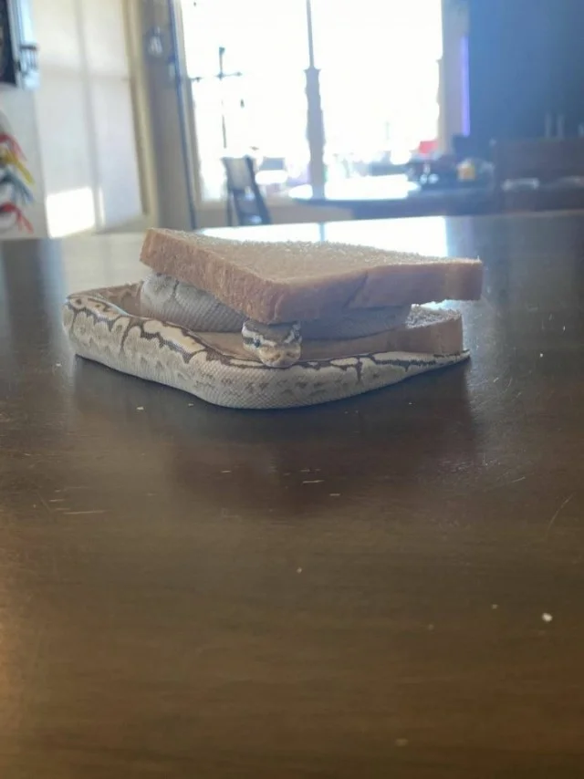 Хаха! Деградация!