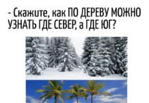 Игра слов #106