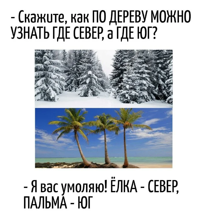 Игра слов #106 Игра слов #106