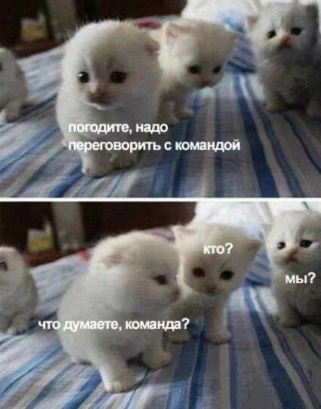 Ха-ха! Прикольные картинки!