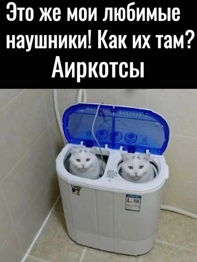 Крутой и актуальный юмор