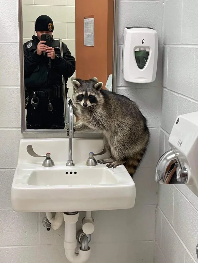 Люди продают зеркала