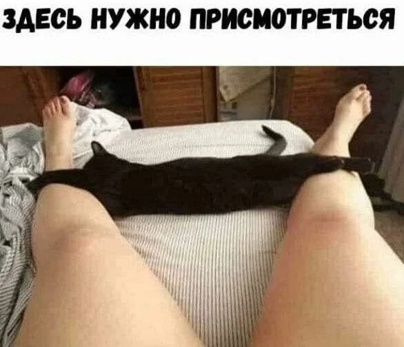 Нестандартный юмор #457